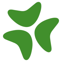 bloomerang-icon