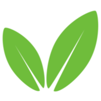 codetree-icon
